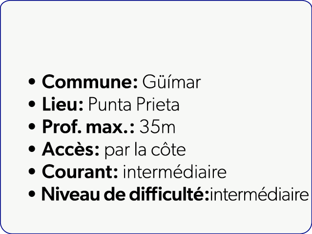  Commune: G mar Lieu: Punta Prieta Prof. max.: 35m Acc s: par la c te Courant: interm diaire Niveau de difficult :in...