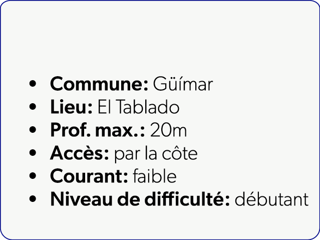  Commune: G mar Lieu: El Tablado Prof. max.: 20m Acc s: par la c te Courant: faible Niveau de difficult : d butant