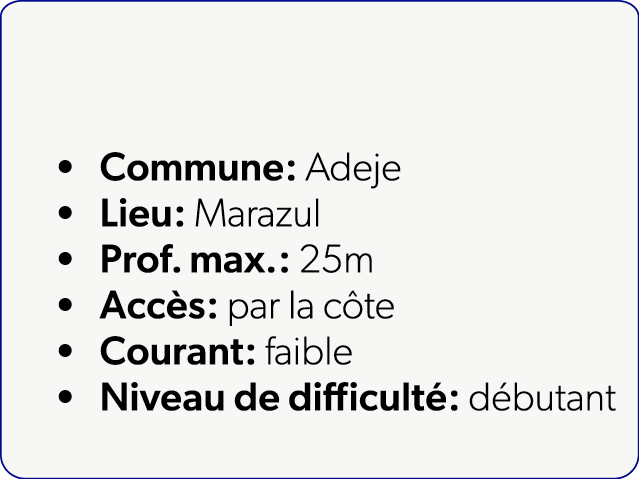  Commune: Adeje Lieu: Marazul Prof. max.: 25m Acc s: par la c te Courant: faible Niveau de difficult : d butant