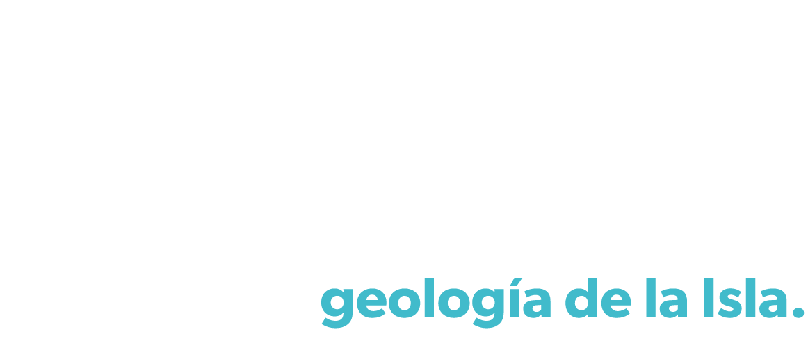 Los Vinos de Tenerife son toda una experiencia de textura, cuerpo y sabor.Blancos, rosados, tintos o malvas as, todos...