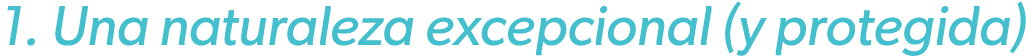 1. Una naturaleza excepcional (y protegida)