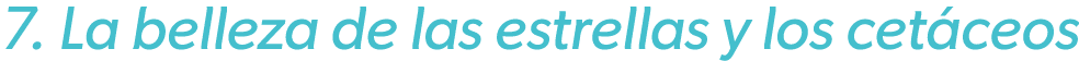7. La belleza de las estrellas y los cet ceos