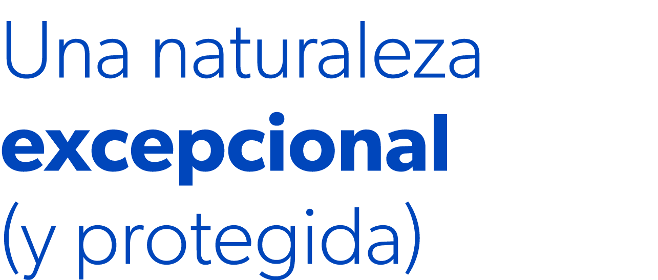 Una naturaleza excepcional (y protegida)