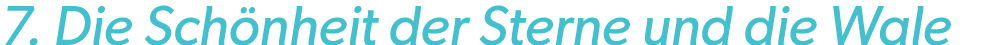 7. Die Sch nheit der Sterne und die Wale 