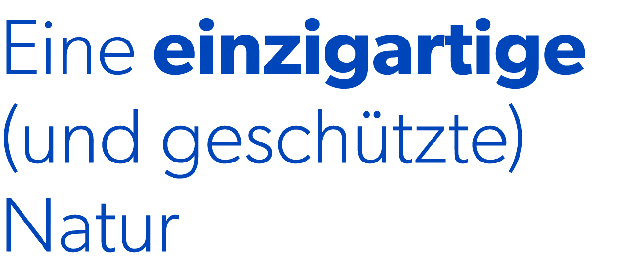 Eine einzigartige (und gesch tzte) Natur 
