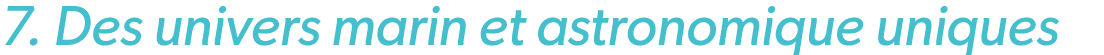 7. Des univers marin et astronomique uniques