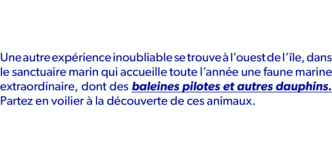 Une autre exp rience inoubliable se trouve  l’ouest de l’ le, dans le sanctuaire marin qui accueille toute l’ann e u...