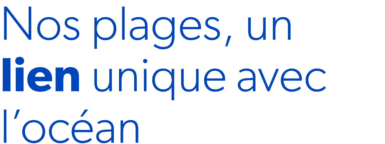 Nos plages, un lien unique avec l’oc an