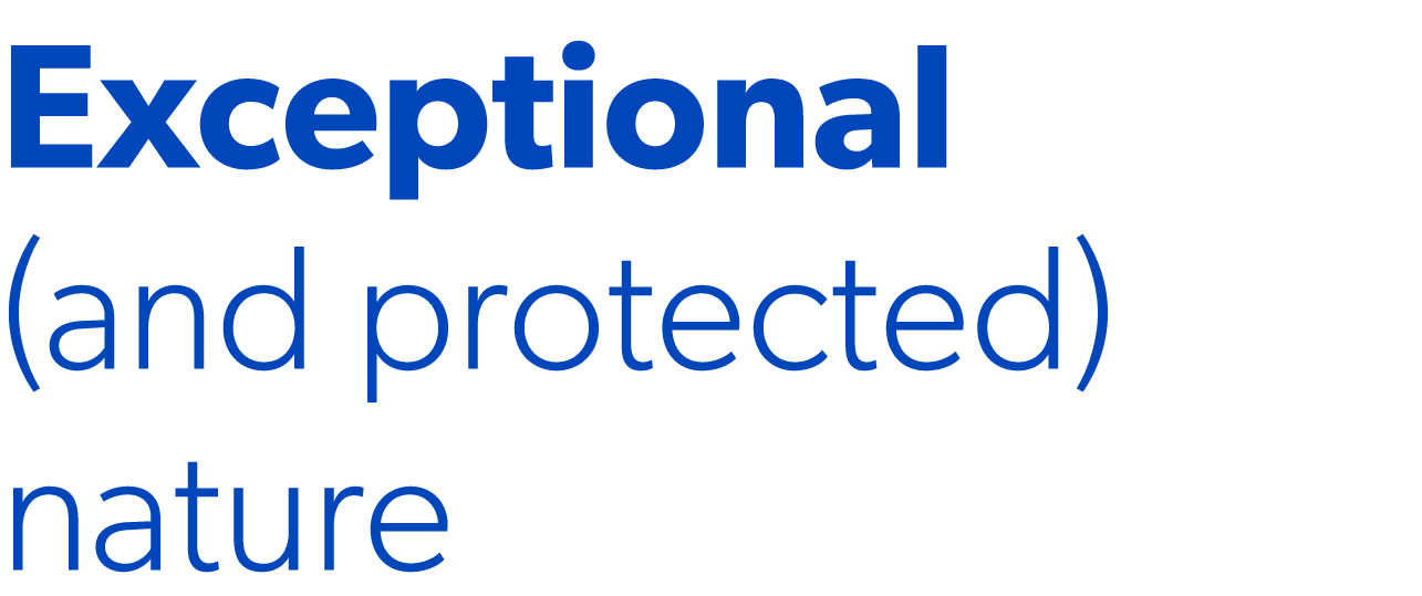 Exceptional (and protected) nature