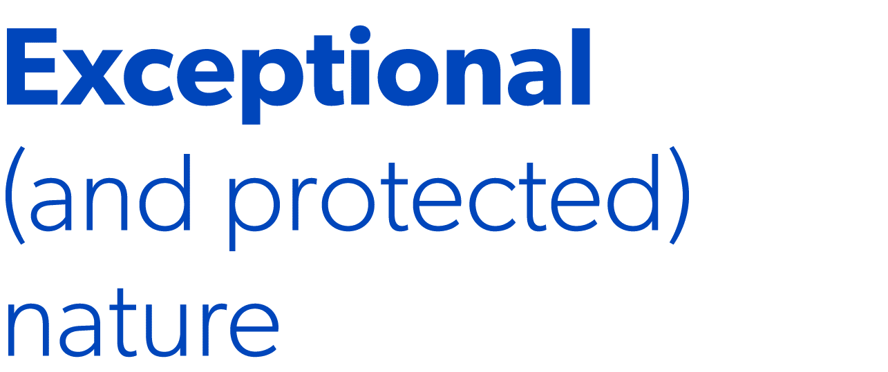 Exceptional (and protected) nature