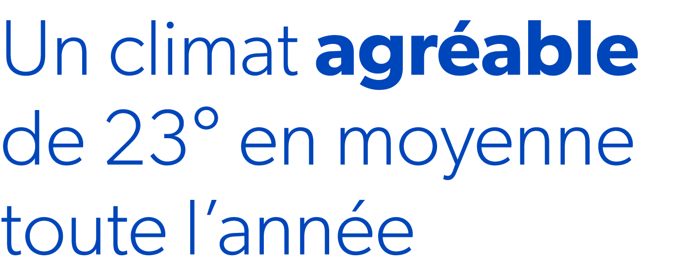 Un climat agr able de 23° en moyenne toute l’ann e