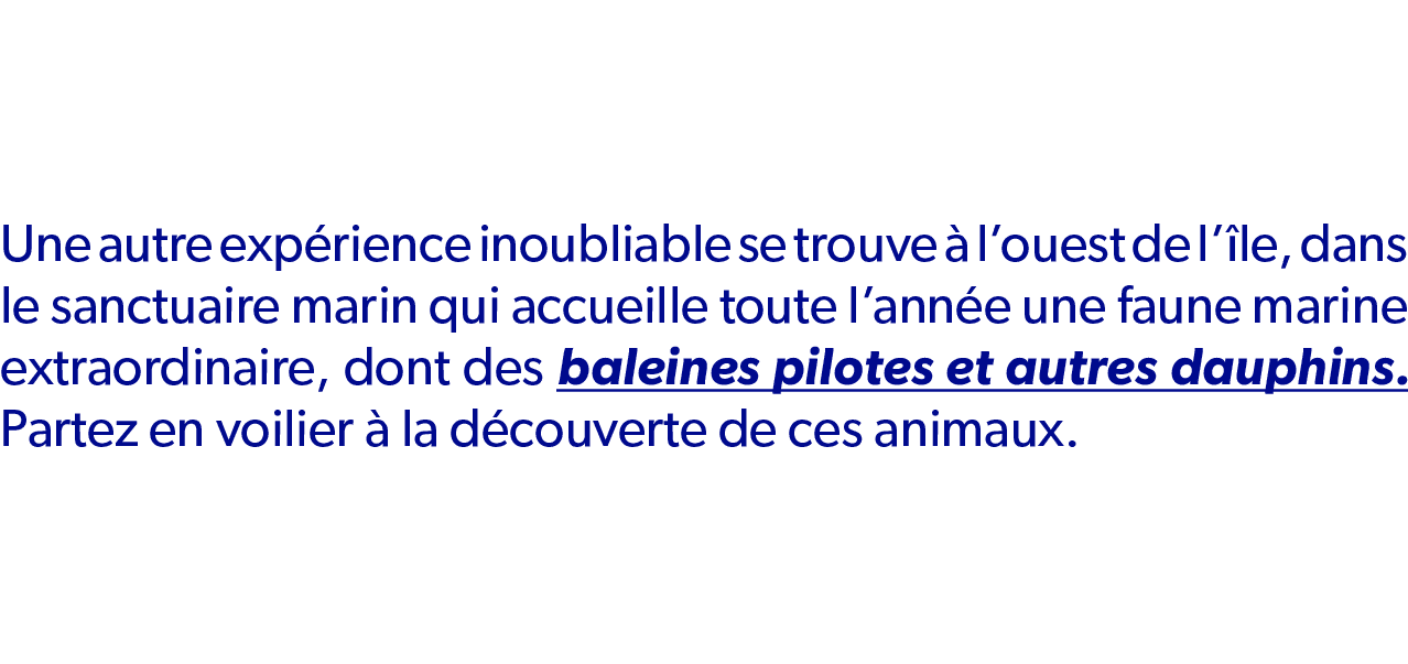 Une autre exp rience inoubliable se trouve  l’ouest de l’ le, dans le sanctuaire marin qui accueille toute l’ann e u...