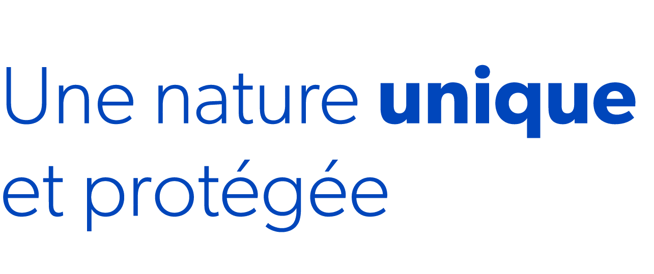 Une nature unique et prot g e