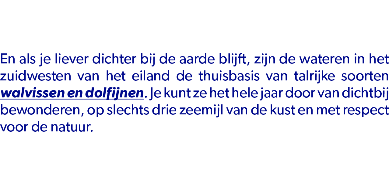 En als je liever dichter bij de aarde blijft, zijn de wateren in het zuidwesten van het eiland de thuisbasis van talr...