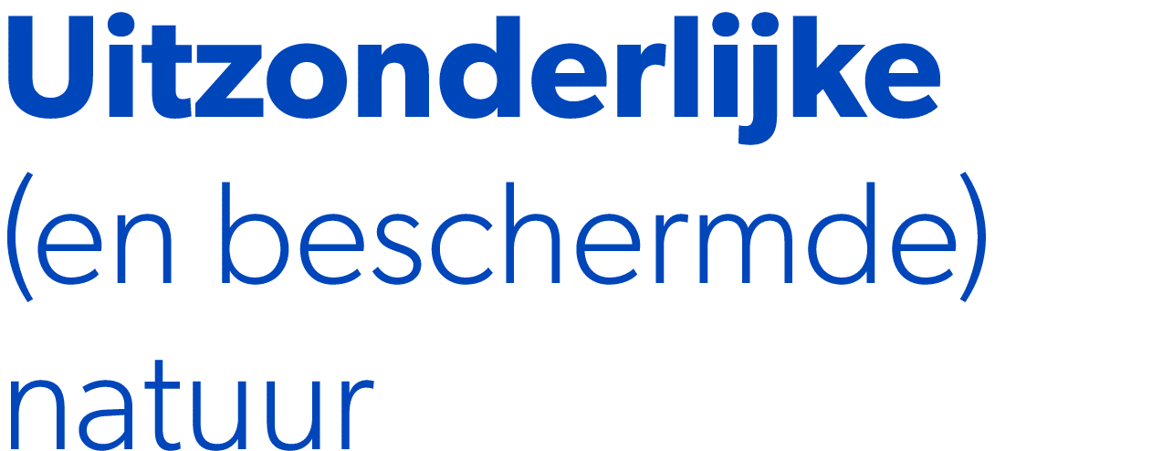Uitzonderlijke (en beschermde) natuur 